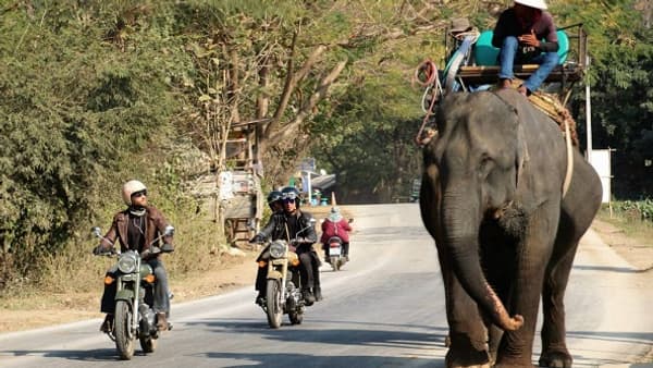 Cette agence organise des road-trips en Inde, en Thaïlande ou en Afrique du Sud, en Royal Enfield. Cette agence organise des road-trips en Inde, en Thaïlande ou en Afrique du Sud, en Royal Enfield.