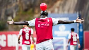 Bruma