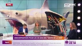 Le bonus RMC : Une exposition pour les 50 ans des "Dents de la mer" - 22/09