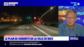 Illuminations à Nice: le dispositif maintenu pour les fêtes de fin d'année