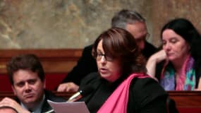 Sophie Errante à l'Assemblée nationale en janvier 2014