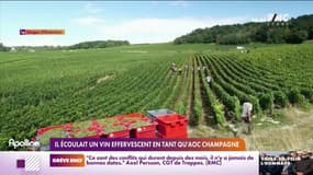 Il écoulait un vin effervescent en tant qu'AOC champagne 