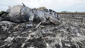 Les débris du vol MH17, abattu jeudi alors qu'il survolait l'Ukraine.