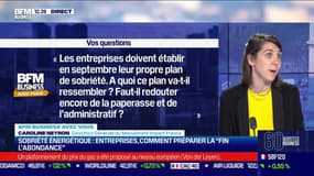 Sobriété énergétique : entreprises, comment préparer la "fin de l'abondance" ? - 02/09