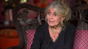 Brigitte Bardot, dans un entretien exclusif accordé à BFMTV le 12 mai 2025.
