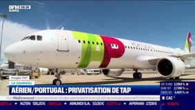 Aérien/Portugal: privatisation de TAP