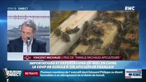 Le coup de gueule d'un apiculteur français contre la politique chinoise en matière de miel