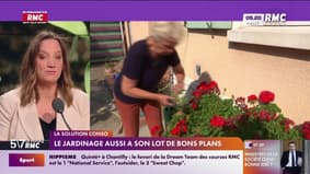 Solution Conso - Le jardinage aussi a son lot de bons plans