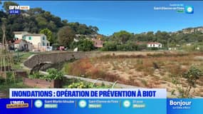 Inondations : opération prévention à Biot