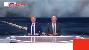 Édition spéciale : Incendies à Marseille, les habitants appelés à rester confinés - 08/07
