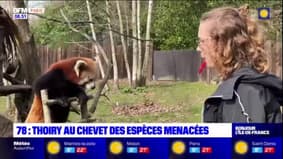 Yvelines: Thoiry au chevet des espèces menacées