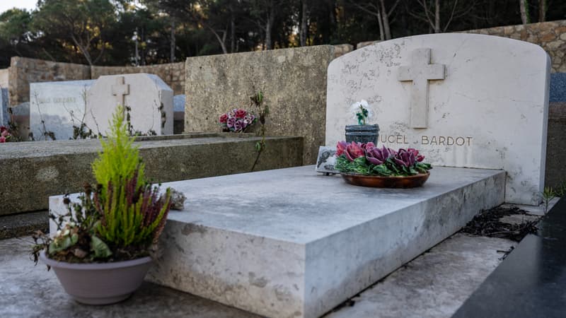 Invités, cérémonie simple et surprises: à quoi vont ressembler les obsèques de Brigitte Bardot?