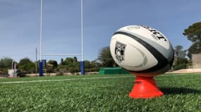 Un ballon ovale sur un terrain de rugby (Photo d'illustration).