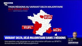 Covid-19: le variant Delta est désormais majoritaire dans trois régions