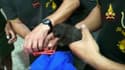 Le sauvetage millimétré de ces chatons italiens tombés dans un tuyau