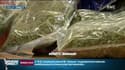 Plus de 600 kg de cocaïne saisis près de l'aéroport de Bâle-Mulhouse