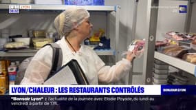 Lyon: une multiplication des contrôles d'hygiène pendant l'été