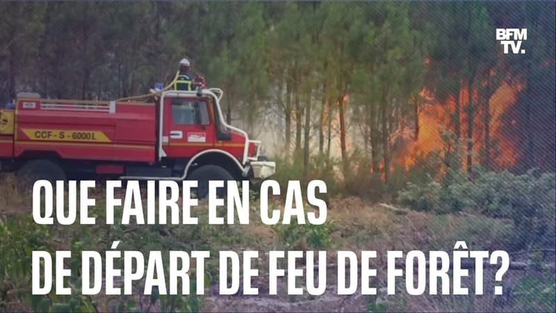 Que faire en cas de départ de feu de forêt cet été?
