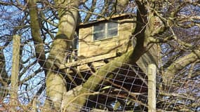 Une cabane dans les arbres