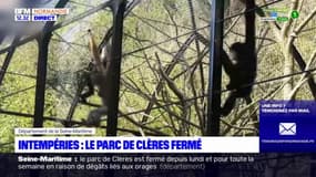 Seine-Maritime: le parc de Clères fermé après les intempéries