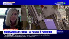 60 postes à pourvoir à Normandise Pet Food