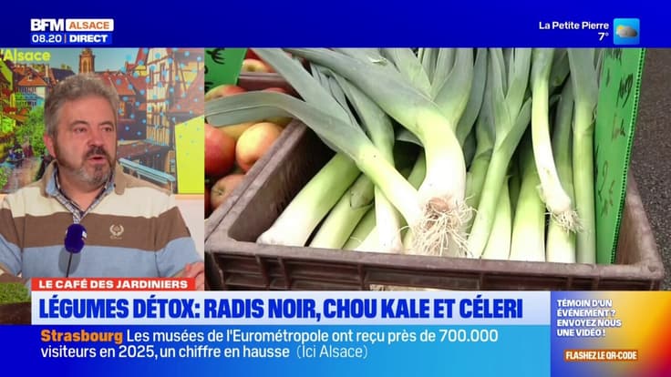 Le Café des Jardiniers: radis noir, chou kale... Les légumes détox