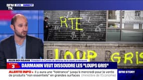 Story 2 : Le gouvernement veut dissoudre le mouvement ultra-nationaliste turc des "Loups Gris" - 02/11