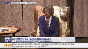 Scènes sur Seine : L'interview d'Anémone, la comédienne aux 50 ans de carrière