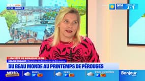 Ain: Eddy Mitchell sur scène au Printemps de Pérouges