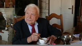 Gironde: à 84 ans, il ne peut séjourner dans sa maison squattée par d'autres