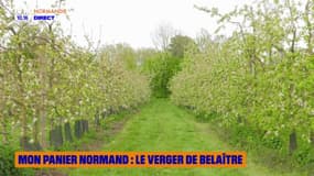 Mon Panier Normand : Le verger de Belaître