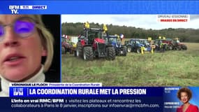 Les agriculteurs veulent "encercler Paris" - 06/01
