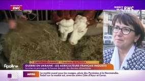 Le parti-pris : Guerre en Ukraine, les agriculteurs français inquiets - 04/03