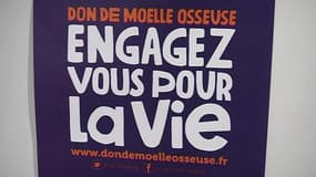 Don de moelle osseuse : il sauve des vies !