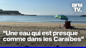  ROBIN DE BFM - Nouveau record de chaleur pour la mer Méditerranée 