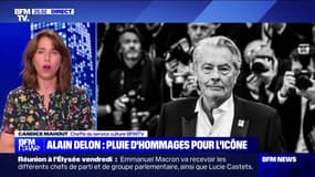 Alain Delon : pluie d'hommages pour l'icône - 19/08