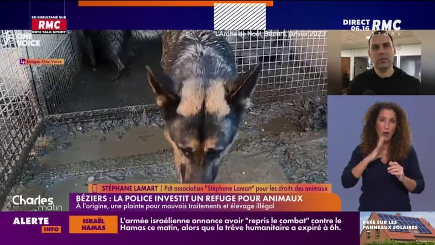 B ziers la police investit un refuge pour animaux