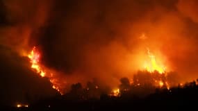 Les incendies dans l'Aude, à proximité du village de Monze, dans la soirée du 14 août.