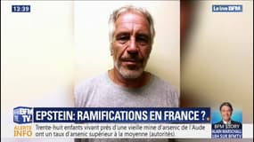 Affaire Epstein: l'association "Innocence en danger" avait déjà demandé une enquête préliminaire en France 