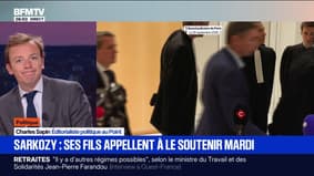 SIGNÉ BFM: "C'est un rassemblement qui se veut davantage comme un témoignage d'affection qu'une démonstration de force": les fils de Nicolas Sarkozy organisent un rassemblement de soutien à Paris mardi matin