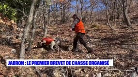 Alpes-de-Haute-Provence : le premier brevet de chasse organisé dans la vallée du Jabron