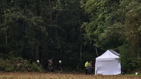 Des soldats et des gendarmes français participent aux fouilles en cours près du "cimetière" du tueur en série Emile Louis, aujourd'hui décédé, dans l'espoir de trouver de nouveaux restes, près de Rouvray, le 25 septembre 2024.