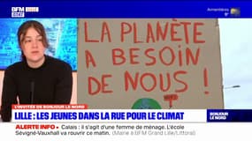 Lille: les jeunes dans la rue pour le climat