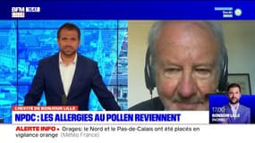 Nord-Pas-de-Calais: selon le Pr Denis Charpin, les allergies au pollen touchent davantage les citadins