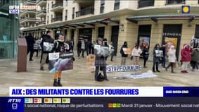 Aix-en-Provence: des militants mènent une action contre les fourrures