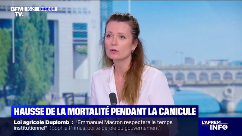 Hausse de la mortalité pendant la canicule observée par Santé Public France
