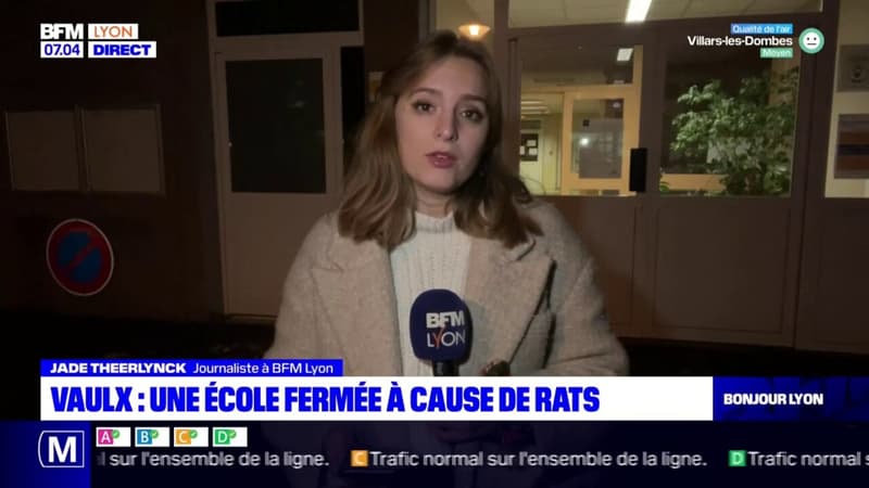 À Vaulx-en-Velin, une école fermée ce vendredi car envahie par les rats