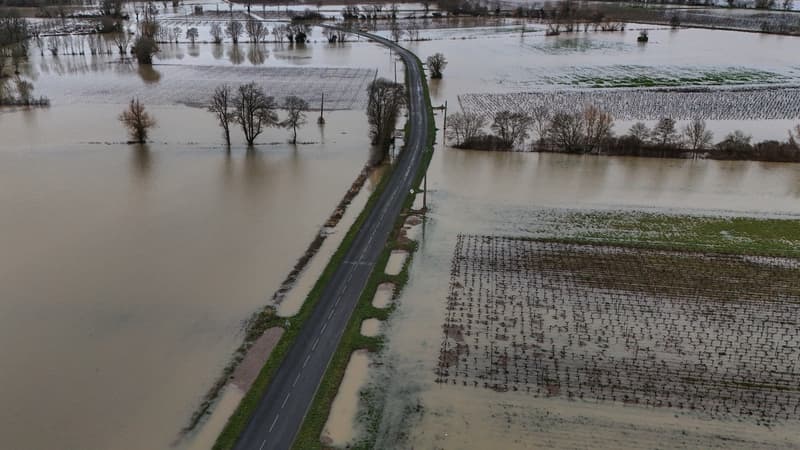 Crues: un plan d'urgence est activé à Bordeaux face aux intempéries, une première depuis 1999
