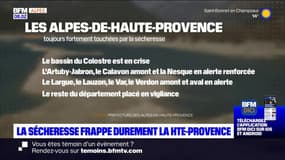 Alpes-de-Haute-Provence: la sécheresse s'agrave
