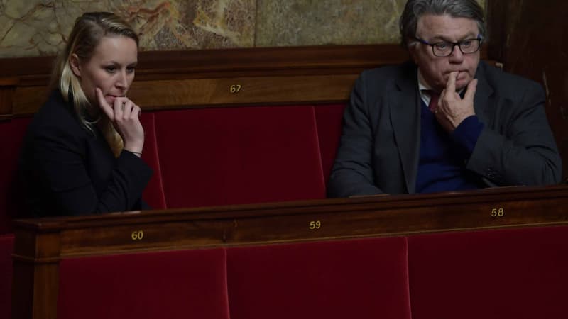 Marion Maréchal-Le Pen et Gilbert Collard, à l'Assemblée nationale.